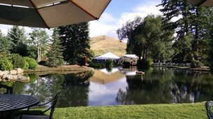 Our Notes from a Subdued Sun Valley