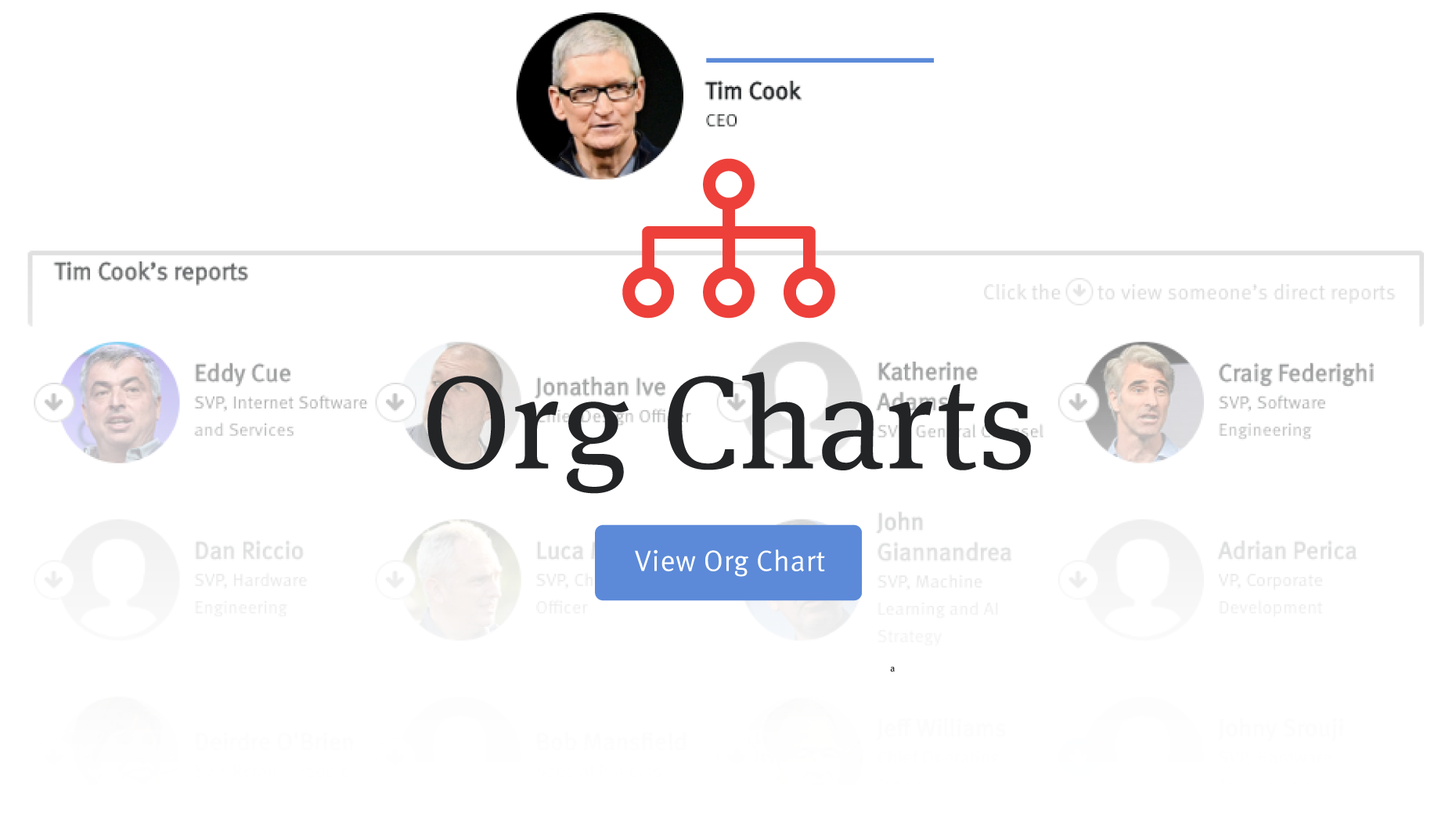 Apple Organizational Chart 2019