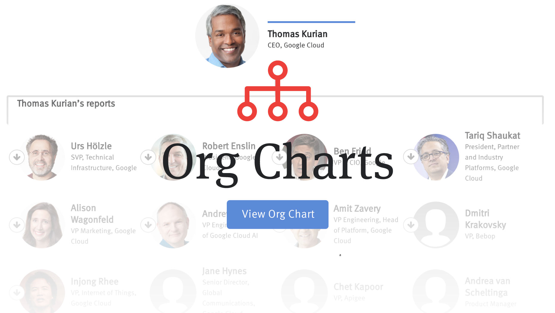 Google Charts Org Chart
