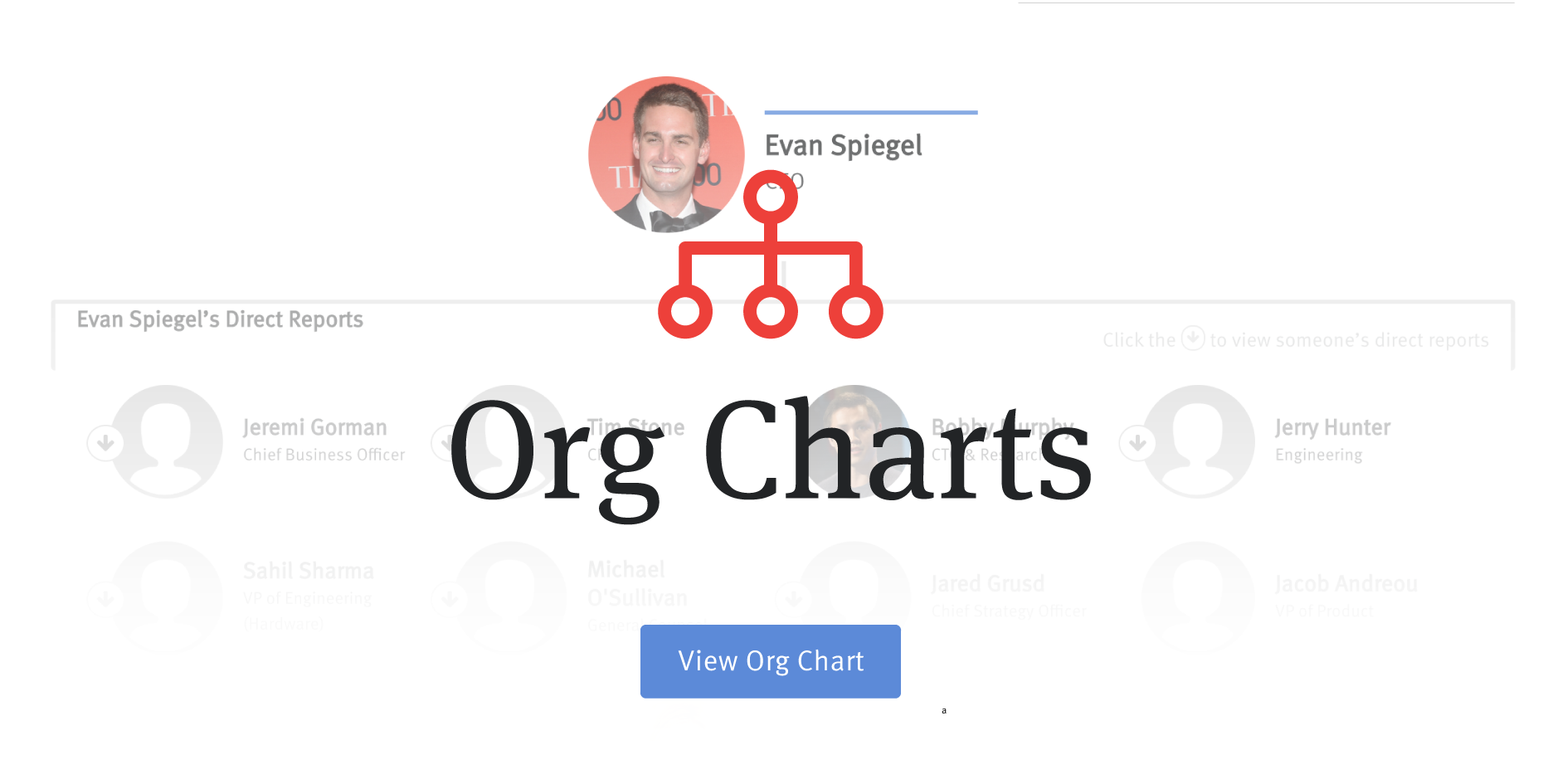 Bloomberg Org Chart